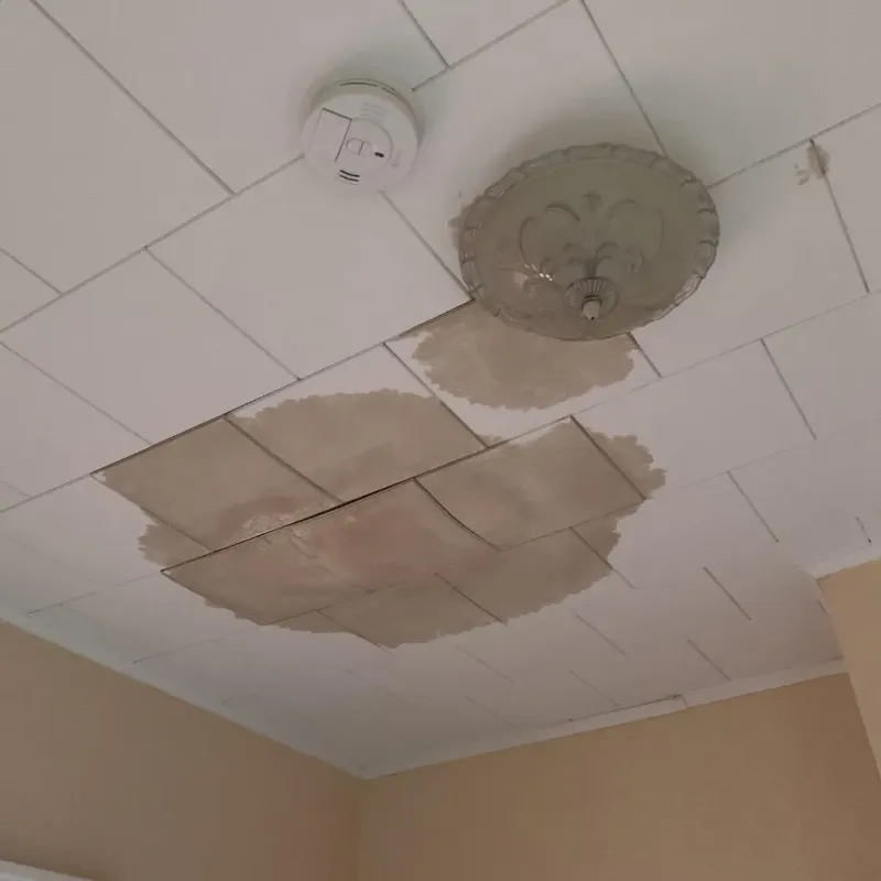 Ceiling Water Damage Repair in Palmer, MA